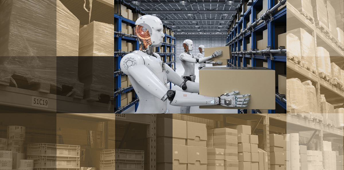 Automated or traditional warehouse